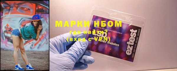 индика Алзамай
