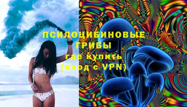 индика Алзамай